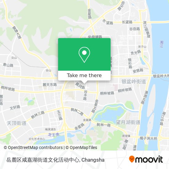 岳麓区咸嘉湖街道文化活动中心 map