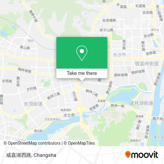 咸嘉湖西路 map