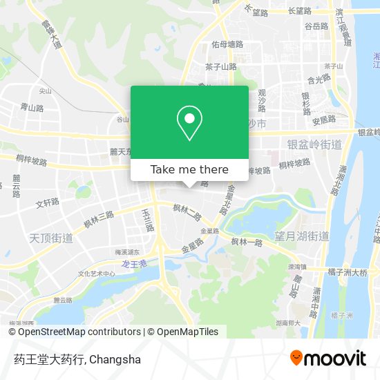 药王堂大药行 map