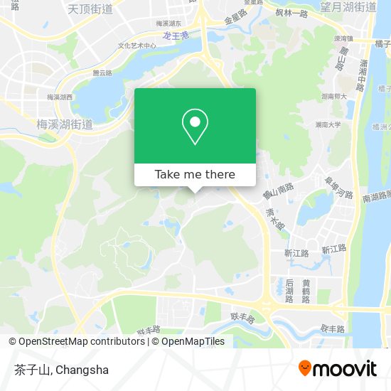 茶子山 map