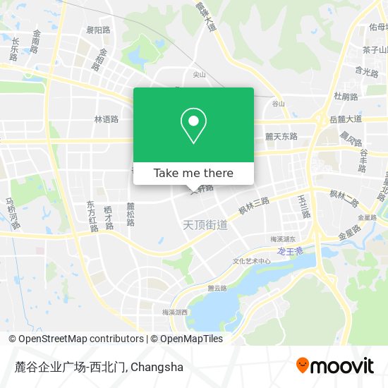 麓谷企业广场-西北门 map