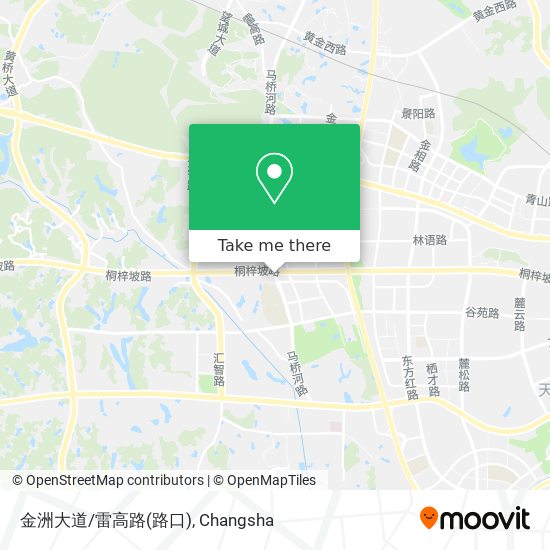 金洲大道/雷高路(路口) map