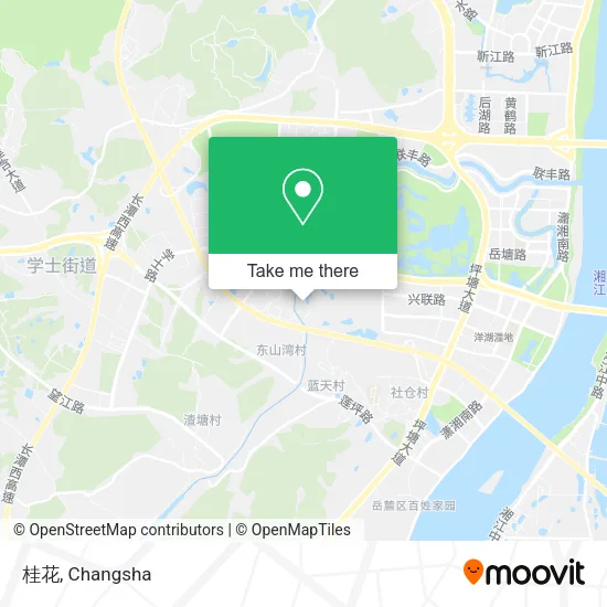 桂花 map