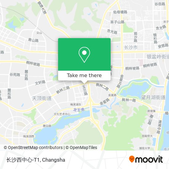 长沙西中心-T1 map
