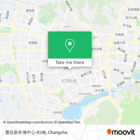 麓谷新长海中心-B2栋 map