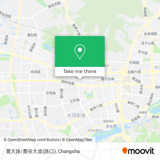 麓天路/麓谷大道(路口) map