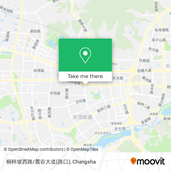 桐梓坡西路/麓谷大道(路口) map