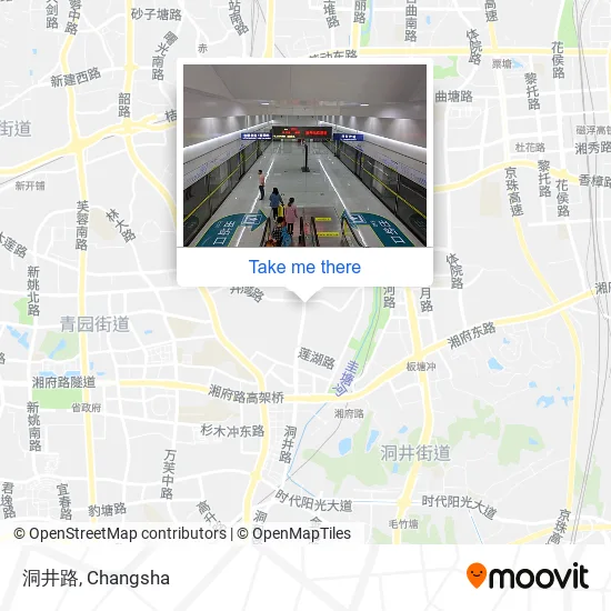 洞井路 map