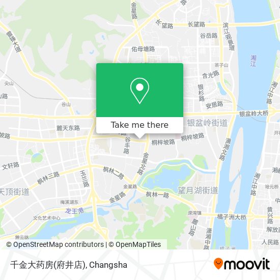 千金大药房(府井店) map