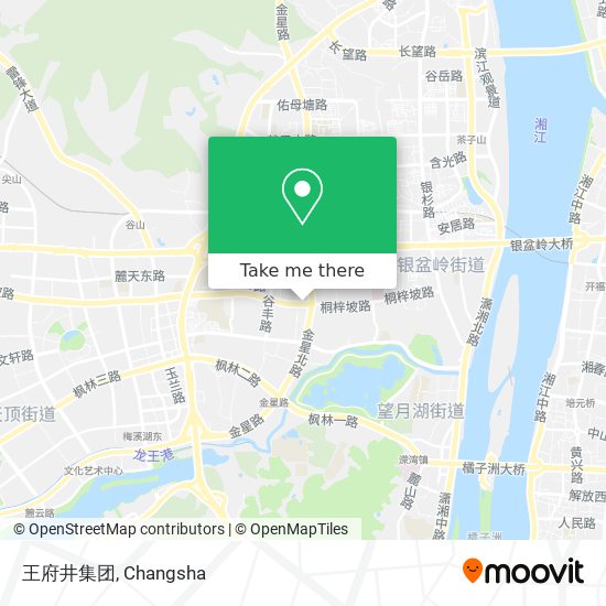 王府井集团 map