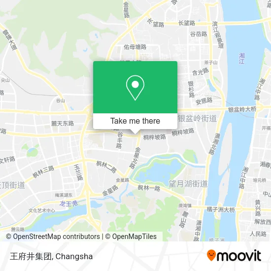 王府井集团 map