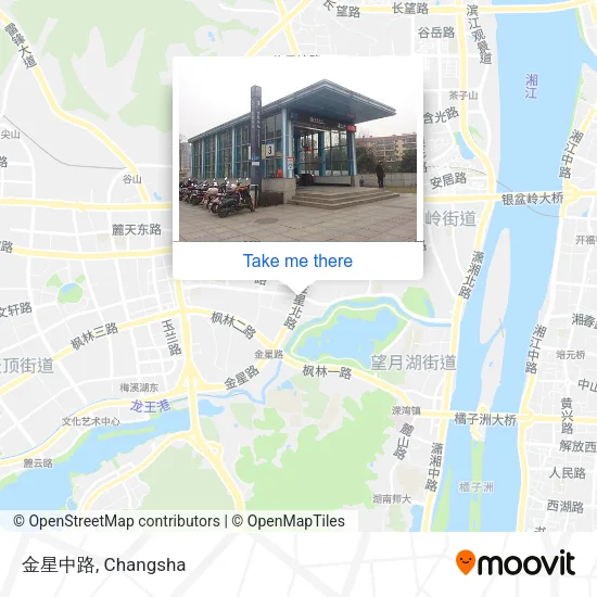 金星中路 map