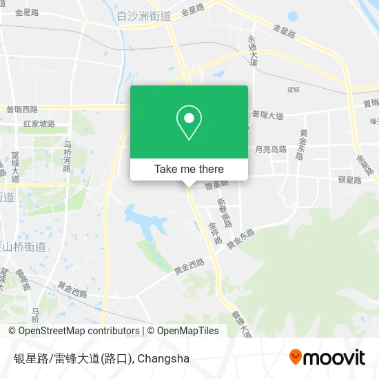 银星路/雷锋大道(路口) map