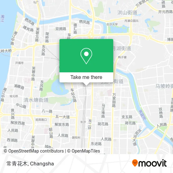 常青花木 map
