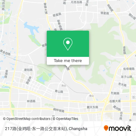217路(金鸡咀-东一路公交首末站) map