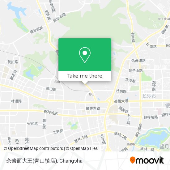 杂酱面大王(青山镇店) map