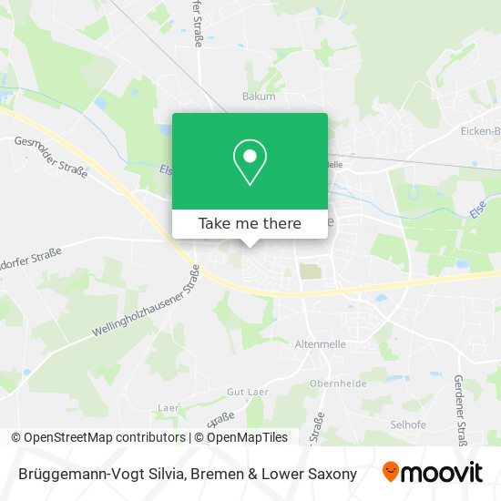 Brüggemann-Vogt Silvia map