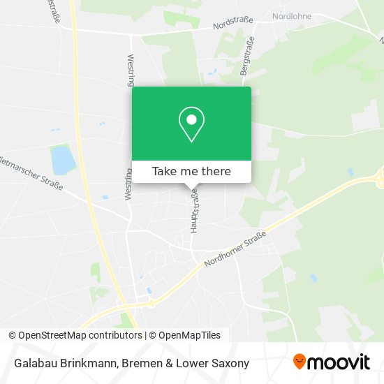 Galabau Brinkmann map