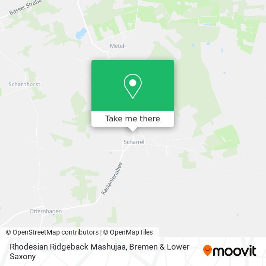 Rhodesian Ridgeback Mashujaa map