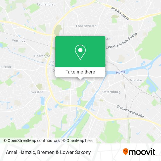 Amel Hamzic map