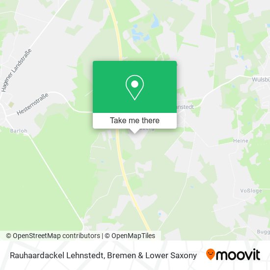 Rauhaardackel Lehnstedt map