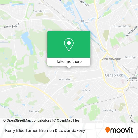 Kerry Blue Terrier map