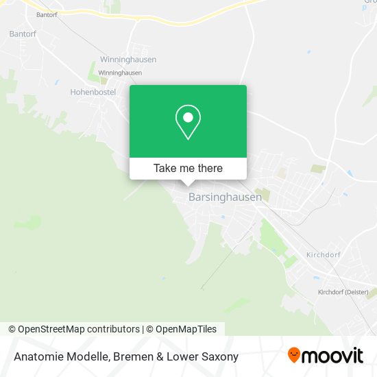 Anatomie Modelle map