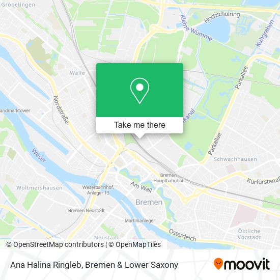 Ana Halina Ringleb map