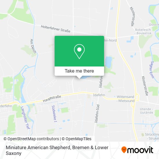 Miniature American Shepherd map