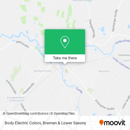 Body Electric Colors map