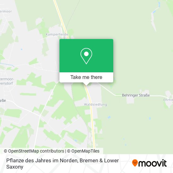 Pflanze des Jahres im Norden map