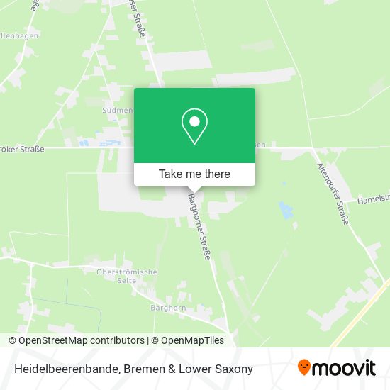 Heidelbeerenbande map