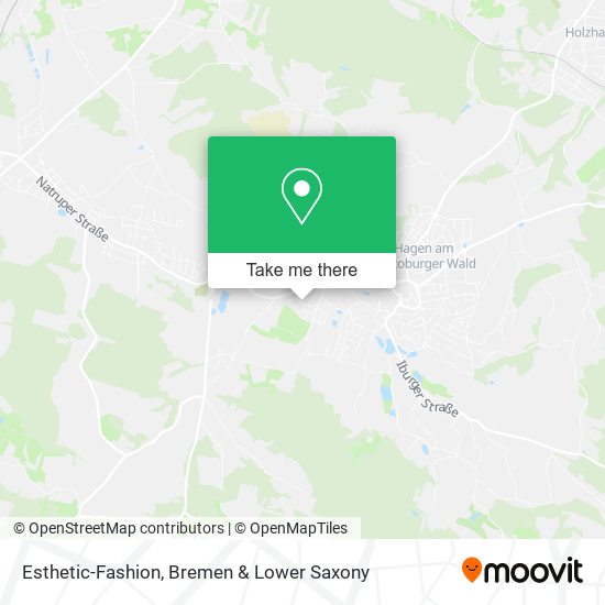 Esthetic-Fashion map