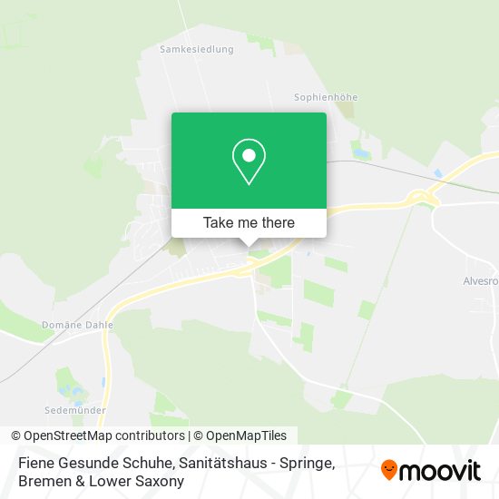 Fiene Gesunde Schuhe, Sanitätshaus - Springe map