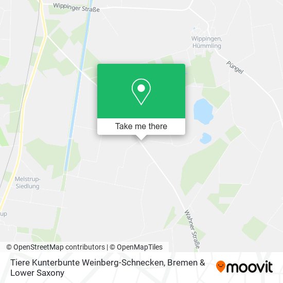Tiere Kunterbunte Weinberg-Schnecken map