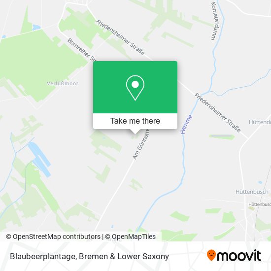 Blaubeerplantage map
