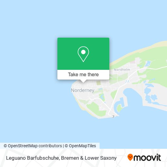Leguano Barfubschuhe map