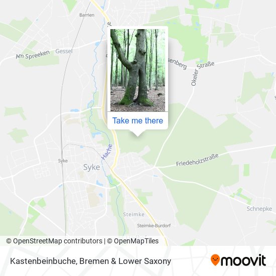 Kastenbeinbuche map