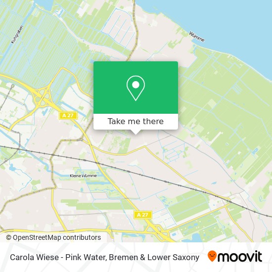 Carola Wiese - Pink Water map