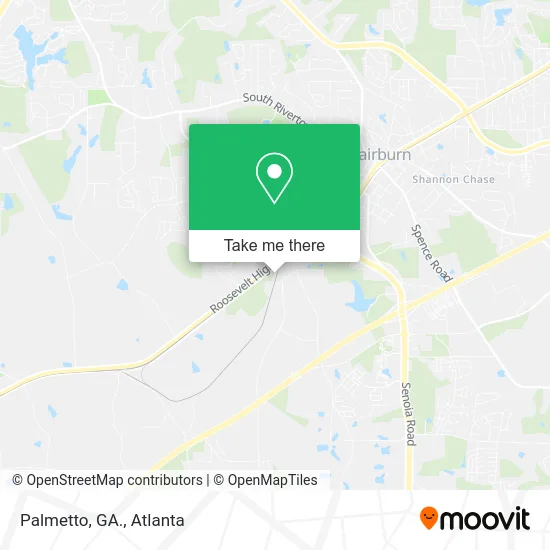 Palmetto, GA. map