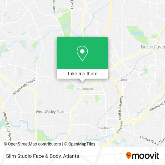Slim Studio Face & Body map