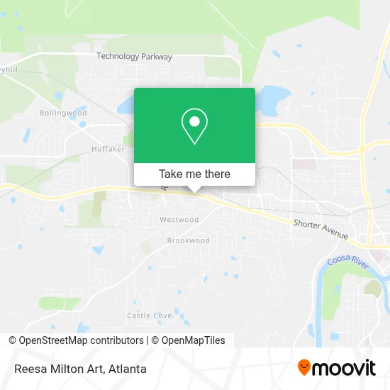 Reesa Milton Art map