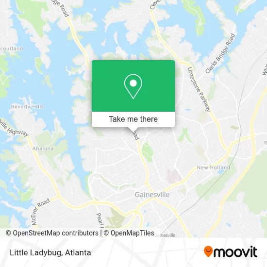 Little Ladybug map