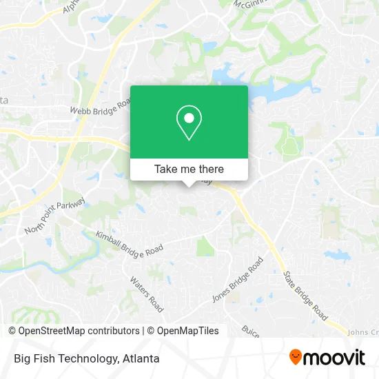 Big Fish Technology map