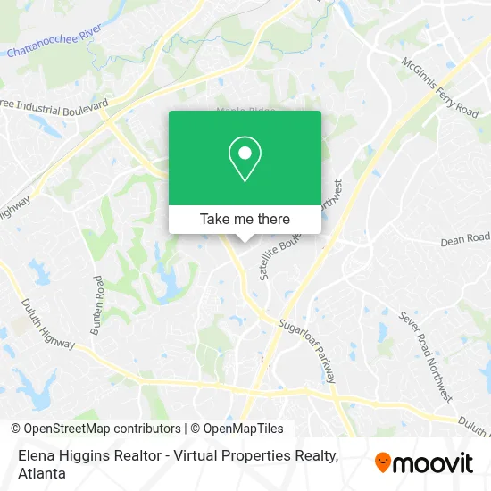 Elena Higgins Realtor - Virtual Properties Realty map