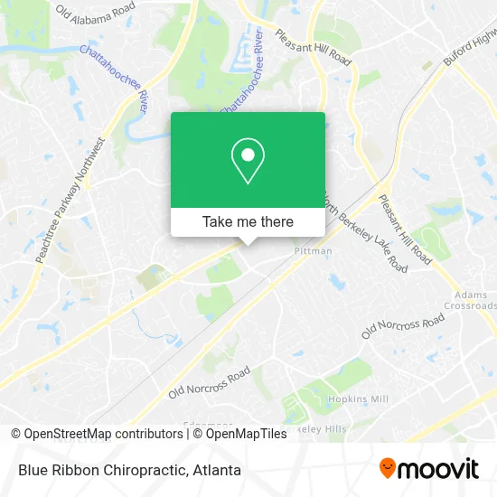 Blue Ribbon Chiropractic map