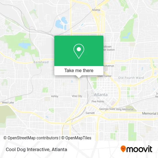 Cool Dog Interactive map