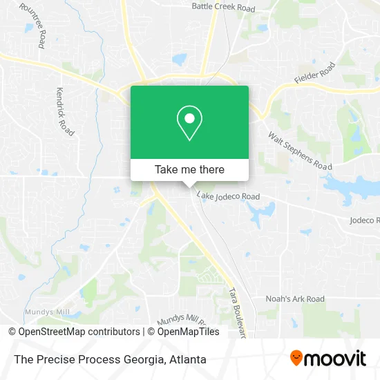 The Precise Process Georgia map