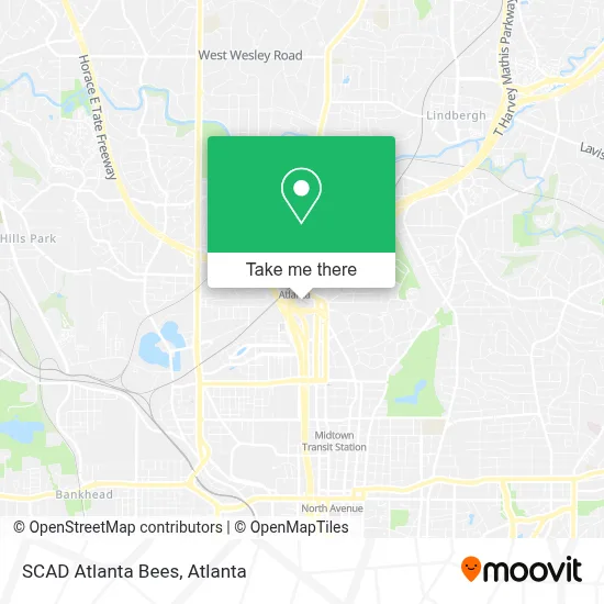 SCAD Atlanta Bees map