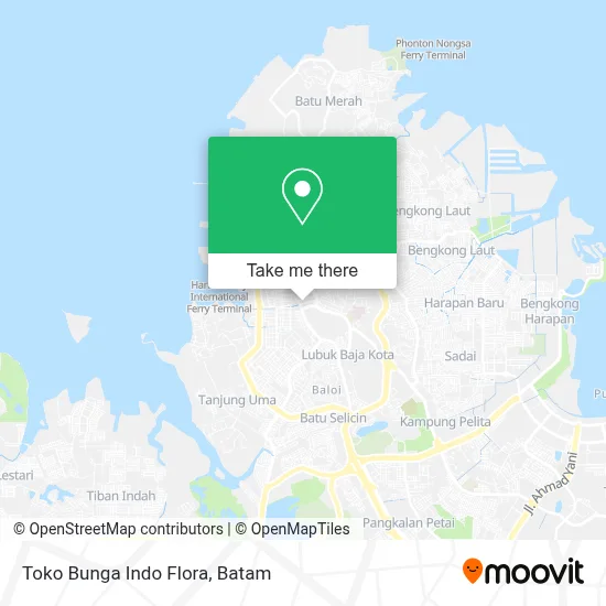 Toko Bunga Indo Flora map